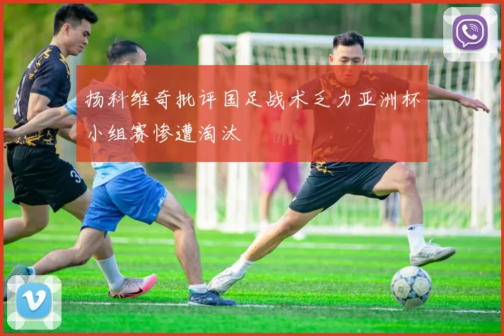 扬科维奇批评国足战术乏力亚洲杯小组赛惨遭淘汰